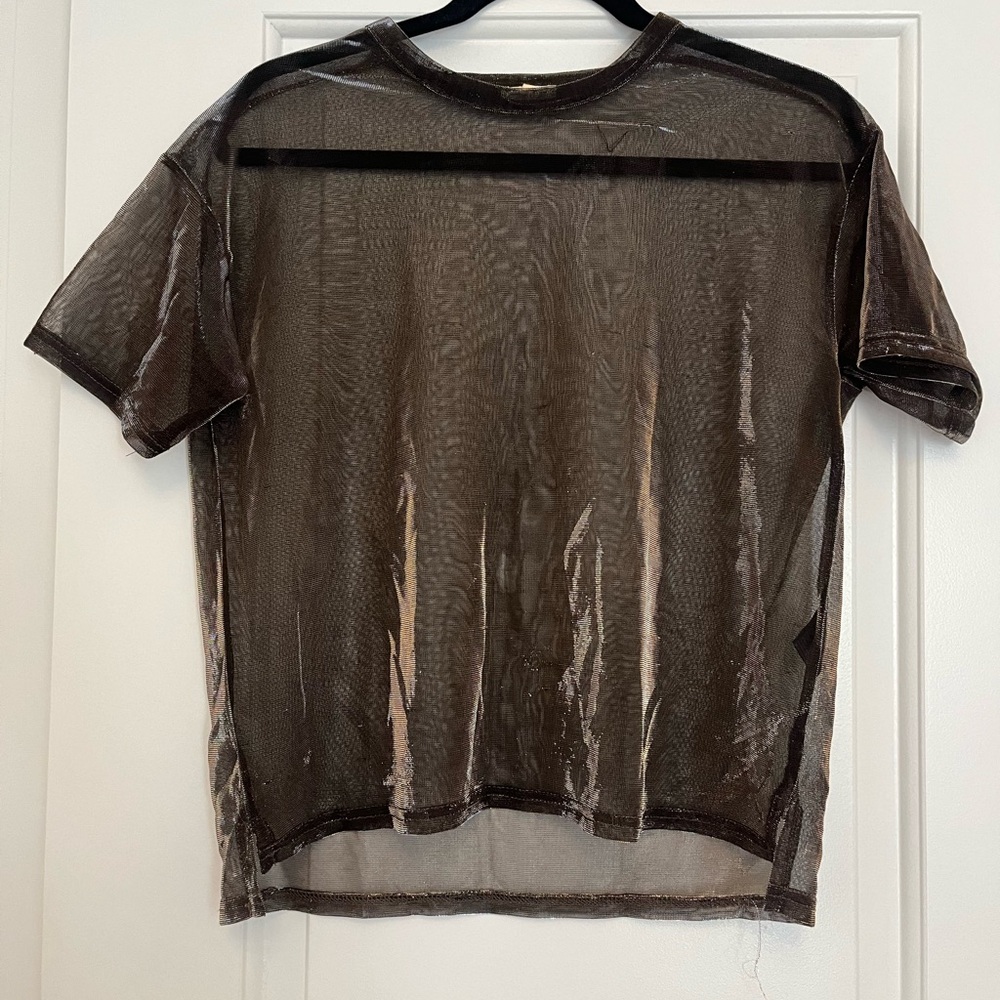 Sheer Gold Mesh Shiny Shirt